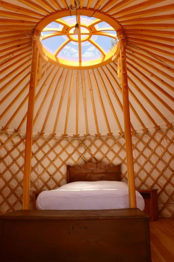 Glamping La Cascina D'Orleans Hotel Сен-Пиер Екстериор снимка